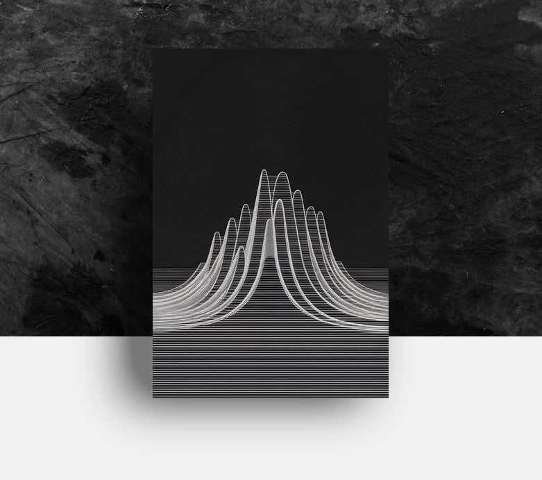 Forex Plaat - Unknown Pleasures