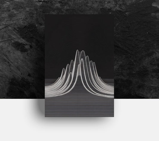 Forex Plaat - Unknown Pleasures